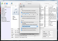 M4P Converter Preferences